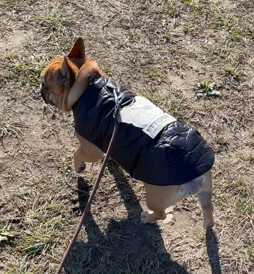 BULLO PIUMINO BLU