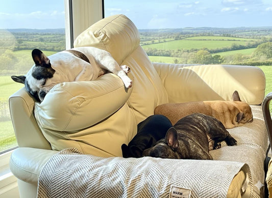 Capitolo 10... dove eravamo rimasti