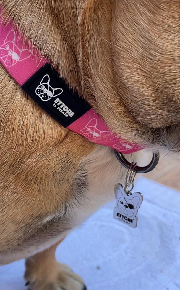 Set pettorina e guinzaglio per cani Angel Rosa con paillettes Set pettorina e guinzaglio per cani Angel Rosa con paillettes