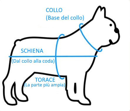 BULLO PIUMINO  BLU