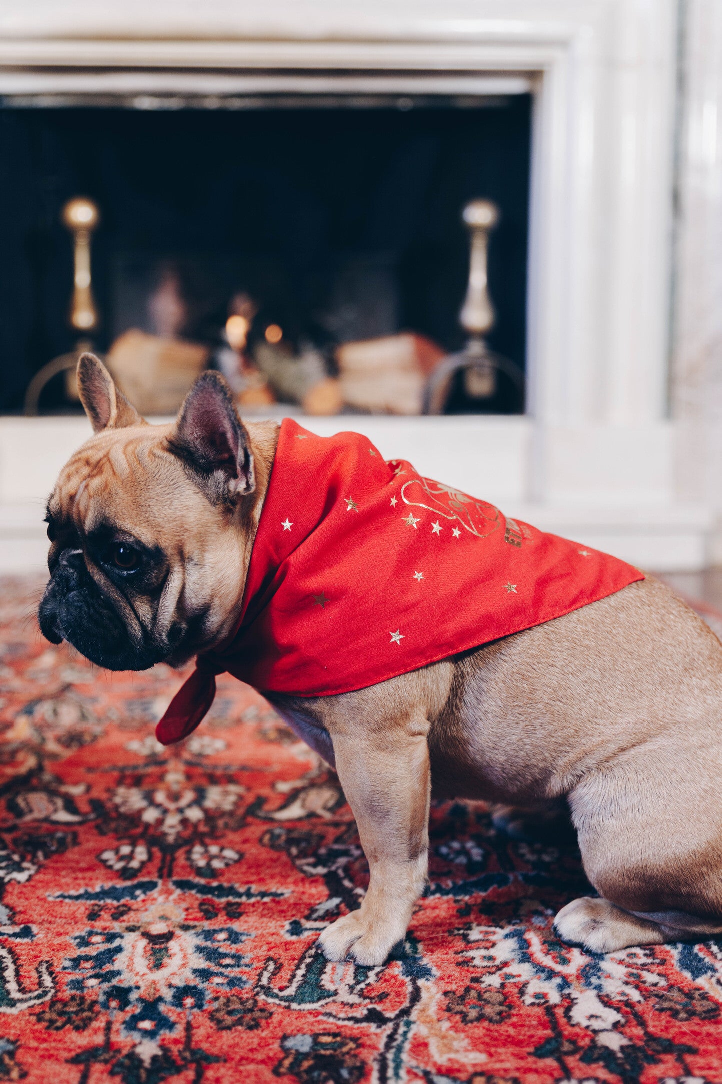 BANDANA ROSSA (personalizzabile)