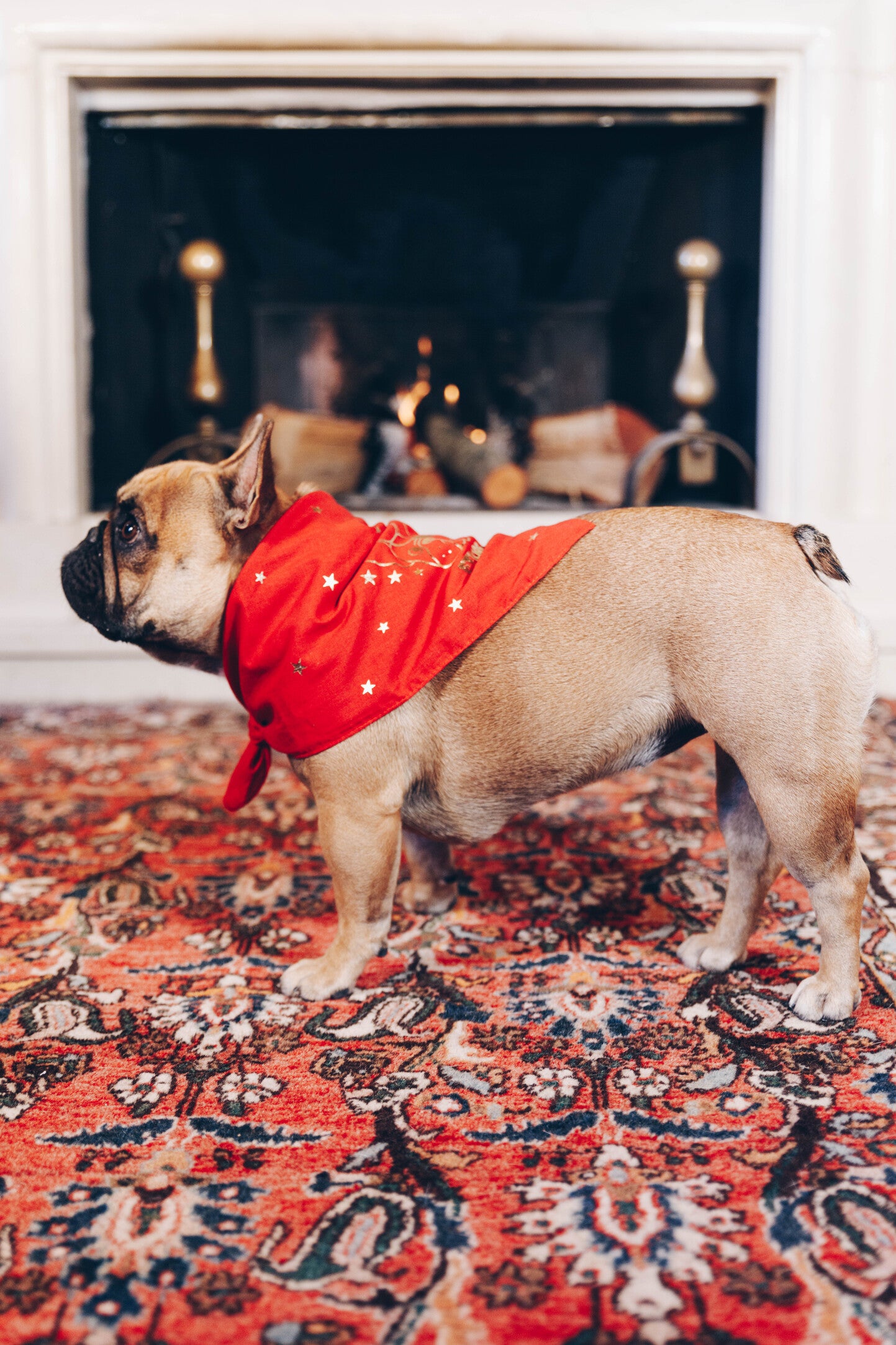 BANDANA ROSSA (personalizzabile)